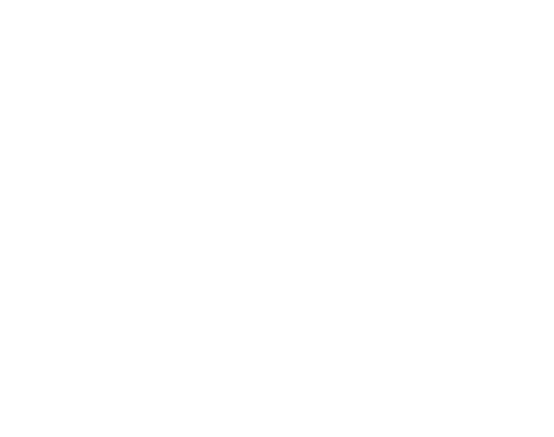 Article Title